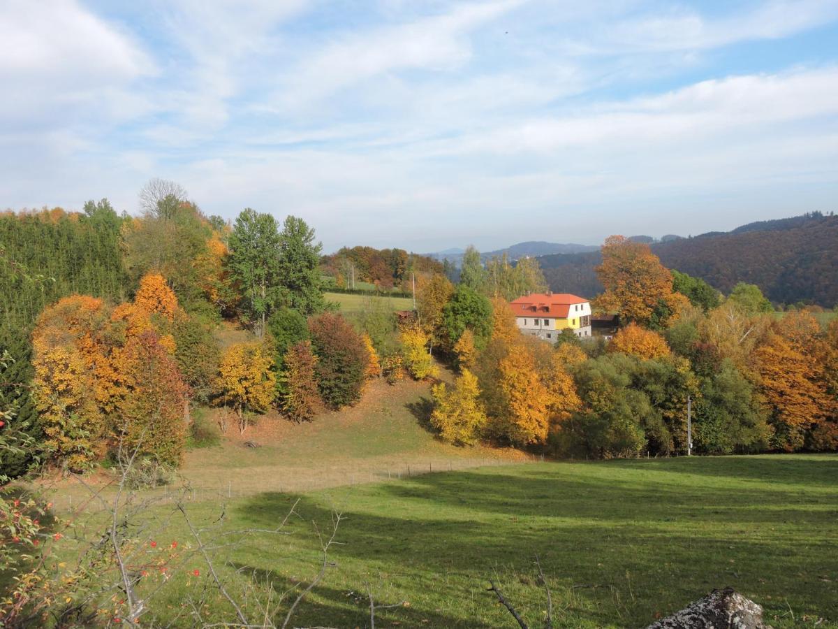 Apartmány Na Lontě Cotkytle Exterior foto